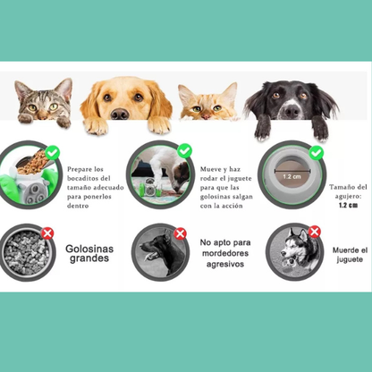 Pet Bot - Estimula su mente mientras come y juega 🤖🐱🐶